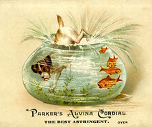 Parker's Alvina Cordial: the Best Astringent