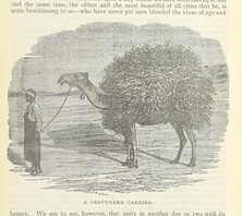British Library digitised image from page 477 of "The Australian abroad, etc"