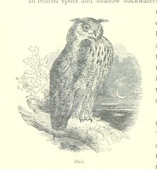 British Library digitised image from page 188 of "The Thames from its Source to the Sea ... Illustrated with ... engravings ... and ... etchings, etc"