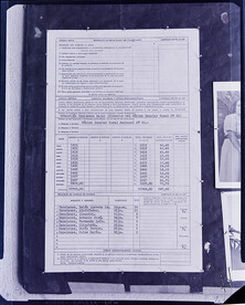 CAL09266.JPG
