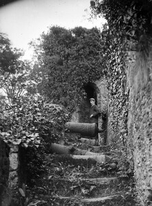Cannon in front of them
