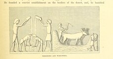 British Library digitised image from page 291 of "Popular History of Egypt. ... (The Egyptian War.) Illustrated, etc"