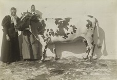 I.K Inha: Finnish Agriculture D2000_48_242