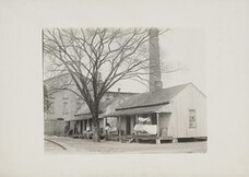 NMFF.003471