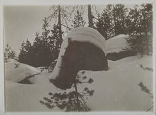 A snow-covered glacial erratic with forest in the background