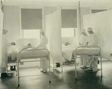 12-0137-009 influenza