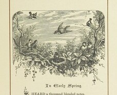 British Library digitised image from page 113 of "Songs of the Woods. A gift book from the Poets. With ... illustrations by Giacomelli"