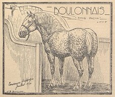 Cheval boulonnais
