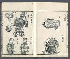 Zetsu hen zu, kakumaku hen zu