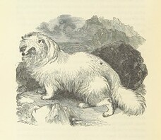 British Library digitised image from page 638 of "Notable Voyagers from Columbus to NordenskÃ¯old. By W. H. G. K. and H. Frith"