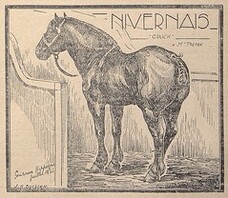 Cheval nivernais