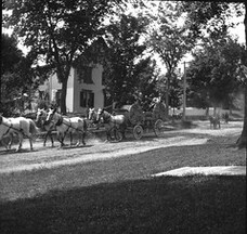 Circus parade July 1898
