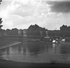 Boston Public Garden 001