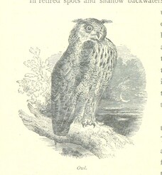 British Library digitised image from page 188 of "The Thames from its Source to the Sea ... Illustrated with ... engravings ... and ... etchings, etc"