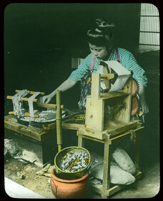 Taking Silk From Cocoons