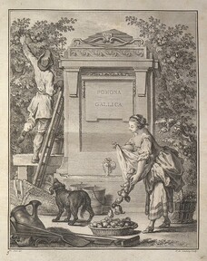 Frontispice du "TraitÃ© des arbres fruitiers"