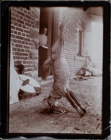 A hunted jackal hanging on the porch of Brickhouse. Mary Gallen-Kallela at the doorway.