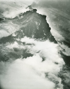 NMFF_002537_20