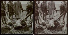 Men are chopping up a carcass on a study trip in Nairobi.