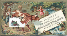 S. Mackey with P. V. Fort, Son & Co.