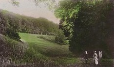 Welton Dale 1908 (archive ref PO-1-148-13)