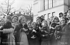 School girls with puppies at the municipal girl's school in SÃ¶derhamn, HÃ¤lsingland, Sweden