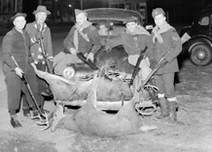 F/O Peacock, about 1943