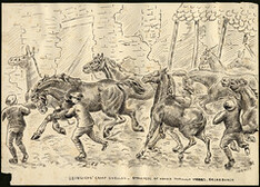 Leinsters' Camp Shelled -- Stampede of Horses Through Dickebusch
