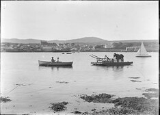 Horse in a Harbour