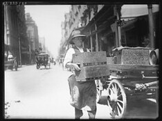 Streetscenes, from Frederick Danvers Power : photonegatives, 1898 - 1926