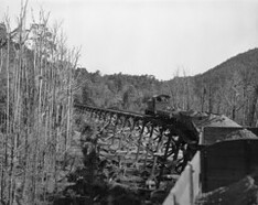 Abt Railway, train crossing bridge across the King River