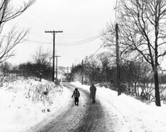 Probably Crichton Avenue