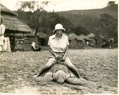 Turtle riding, Great Barrier Reef