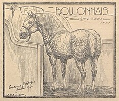 Cheval boulonnais