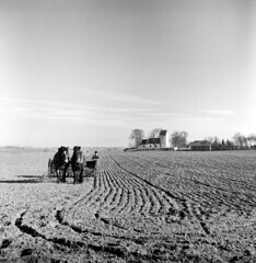 Harrowing a field, TÃ¶rringe, SkÃ¥ne, Sweden