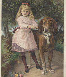 Dr. D. Jayne's Expectorant