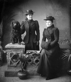 The Fannings of Tramore