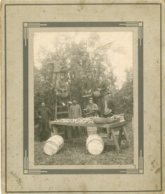 Apple Harvest, c. 1890-1900