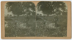 Wallace & Dot Boyd, Fossie, Mother, Uncle Phil