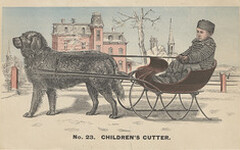 North Western Sleigh Co. (Wholesale Manufacturers)