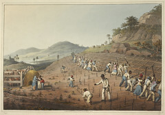 Ten Views in the Island of Antigua- caption: 'Digging the Cane-holes'
