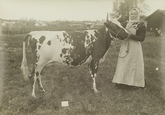 I.K Inha: Finnish Agriculture D2000_48_201