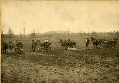 Spring Seeding, 1908