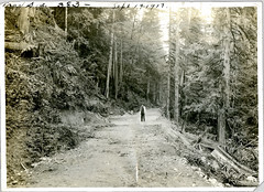 Man standing on trail