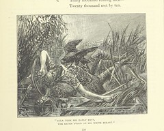 British Library digitised image from page 361 of "Illustrated British Ballads, old and new. Selected and edited by G. B. Smith"