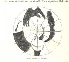 British Library digitised image from page 546 of "L'Espace cÃ©leste et la nature tropicale, description physique de l'univers ... prÃ©face de M. Babinet, dessins de Yan' Dargent"