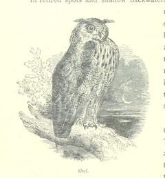 British Library digitised image from page 188 of "The Thames from its Source to the Sea ... Illustrated with ... engravings ... and ... etchings, etc"
