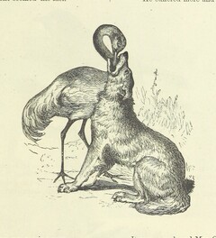 British Library digitised image from page 17 of "Illustrated Poems and Songs for Young People. Edited by Mrs. Sale Barker"