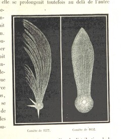 British Library digitised image from page 305 of "L'Espace cÃ©leste et la nature tropicale, description physique de l'univers ... prÃ©face de M. Babinet, dessins de Yan' Dargent"