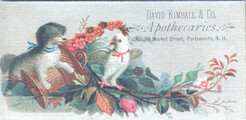 David Kimball & Co. Apothecaries